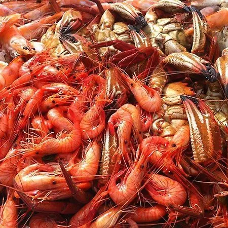 Apartman Centro De Con Parking Gratis Vigo